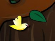 The-perilous-life-of-a-bird