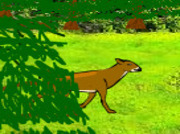 Deer-venatione