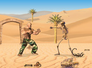 Igraj-desert-combat