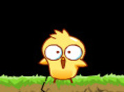 Tehlikeli-chick